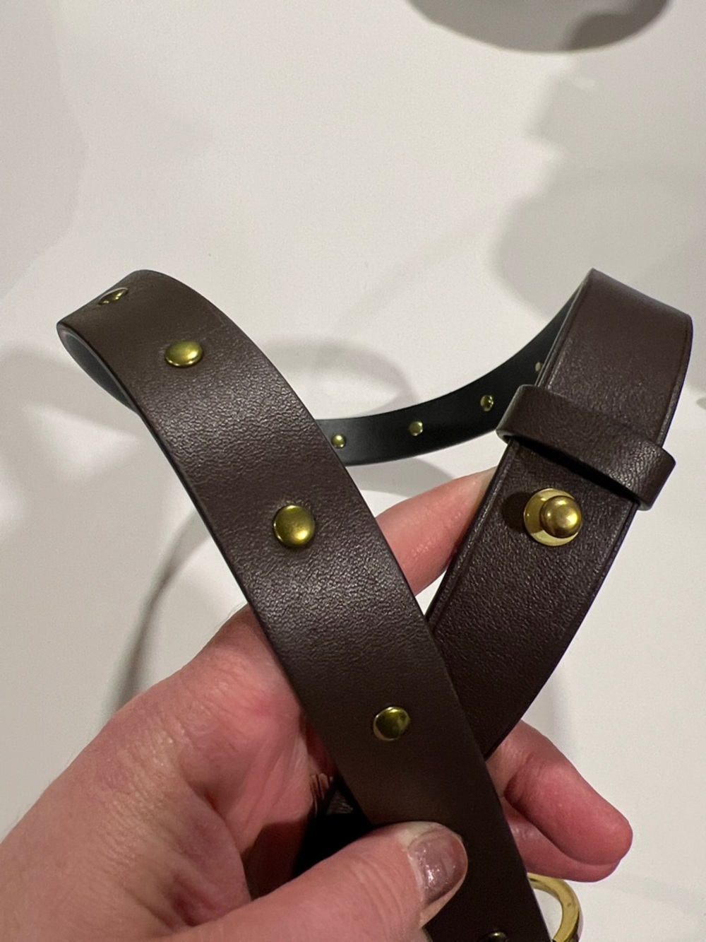 CAbi - M, Brown Leather Belt with Gold Ring Buckle - Picture 6 of 7